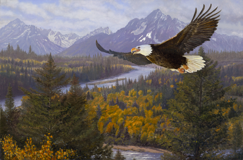 Let Freedom Ring - Eagle Orginal Oil Painting by Pat Pauley