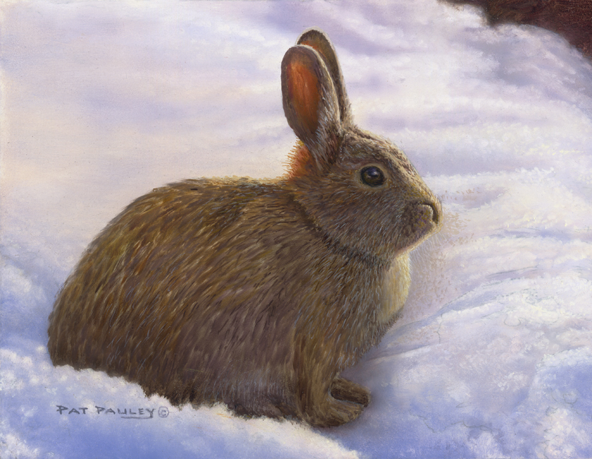 Snow Bunny Oil Painting by Pat Pauley