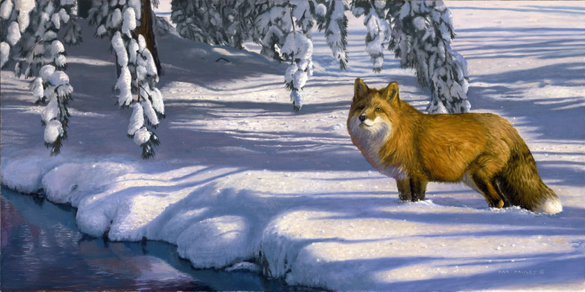 Winter Blues Red Fox Oil Painting by Pat Pauley